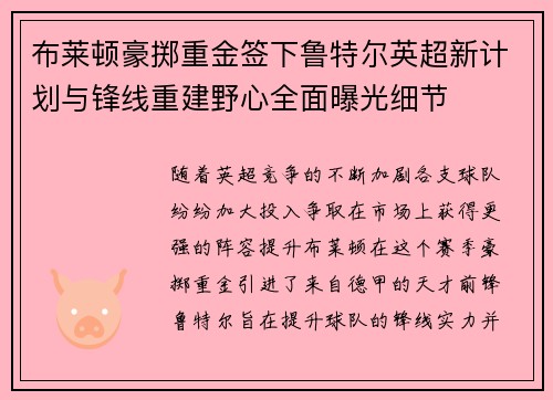 布莱顿豪掷重金签下鲁特尔英超新计划与锋线重建野心全面曝光细节